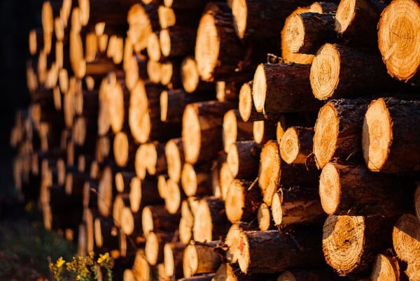 Little Middop Farm Logs